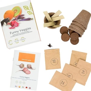 Mini moderno Kit <span class=keywords><strong>da</strong></span> <span class=keywords><strong>giardino</strong></span> Bonsai insolito insolite stile di Design per la casa di fattoria all'aperto vivaio <span class=keywords><strong>fiori</strong></span> ortaggi frutta <span class=keywords><strong>alberi</strong></span> - Product Image 5