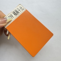 Cat Semprot Epoxy Polyester Warna Sesuai Pesanan untuk Dekorasi Logam Rumah - Promo!
