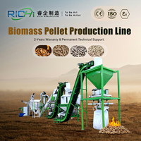 Usine de granulés de biomasse RICHI 1-30 T/H ATEX - Ligne de production de granulés de biomasse CE conviviale pour EFB, paille de bois et coques de riz en promotion