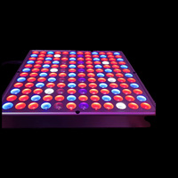 LED Kweeklamp Paneel 25W 45W 65W Rood Blauw Volspectrum LED Kweeklampen voor Binnenplanten Zaaien Groei en Bloei