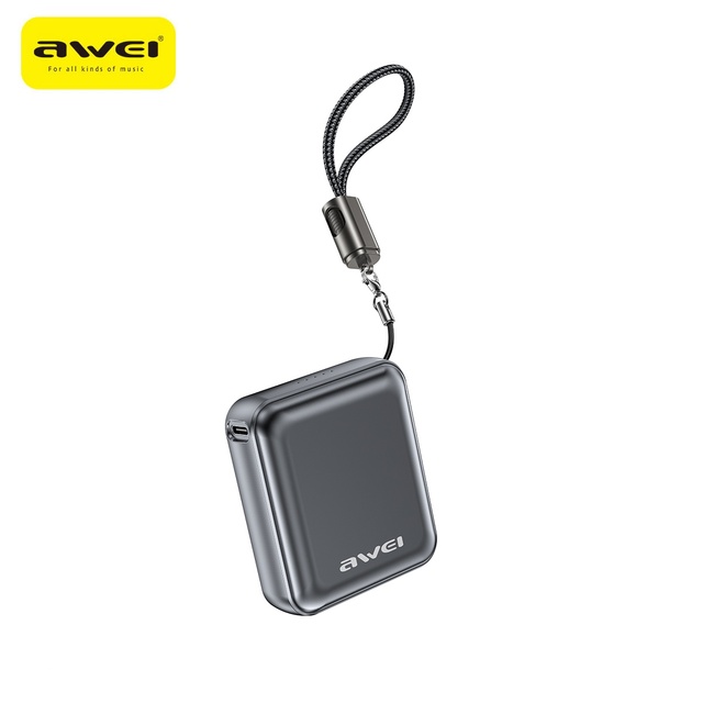High-Capacity PD20W Power Bank Li-Polymer Battery Notebook Charger Power Bank with Type C Cable