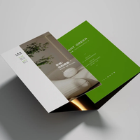 Cetak Leaflet Lipat Berwarna Penuh dengan Logo Kustom, Cetak Brosur Kecil, Brosur Real Estat dengan Spot UV