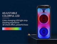 Altavoz de Karaoke GY-5046 para Exteriores, Altavoz Portátil Dual de 6.5 Pulgadas con Micrófono, Bafle Bluetooth, Haut-Parleur avec Micro