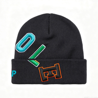 Bonnets unisexes de haute qualité MYCOOL, vente directe d'usine, bonnets amples personnalisés, hiver, broderie 3D, design de personnage, 100% coton