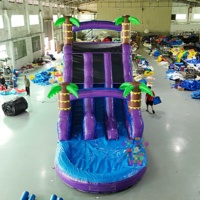 Toboggan aquatique gonflable de qualité commerciale Tropical Waves avec certification CE, capacité de 500 à 1000 kg, installation facile