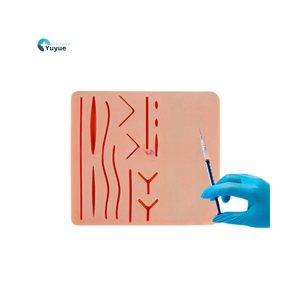 Un modèle <span class=keywords><strong>de</strong></span> <span class=keywords><strong>pratique</strong></span> à double usage pour <span class=keywords><strong>la</strong></span> ponction veineuse et <span class=keywords><strong>la</strong></span> suture des plaies .. - Product Image 1