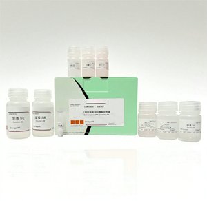 Guanosine-5 '-diphosphate gdp Disodium Muối 7415 độ tinh khiết cao 98% cho nghiên cứu sinh hóa Enzyme thử nghiệm nucleotide - Product Image 3