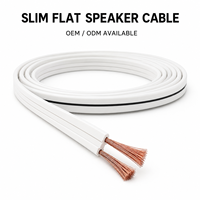 Cable de Altavoz Plano y Delgado de PVC OEM ODM, 8-28AWG 0.2-10mm, Cable de Audio Flexible de 2 Núcleos para Cine en Casa y HiFi