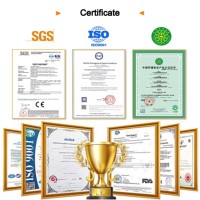 Boîte de rangement pour aligneurs orthodontiques à faible MOQ, emballage complet personnalisé avec logo, incluant des sacs pour aligneurs et un rétention dentaire réutilisable
