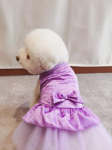 Groothandel Outdoor Elegante Strik Veelkleurige Puppyjurk Mode Sprankelende Prinsessenjurk Voor Huisdieren - Product Image 6