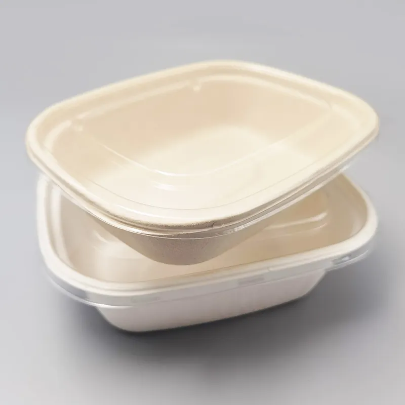 Vassoi biodegradabili usa e getta ECO scatole per imballaggio alimentare vassoio per frutta e verdura con coperchio
