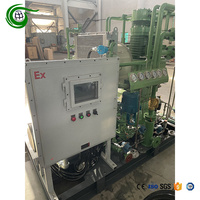 Compresor industrial de alto grado de seguridad Completamente libre de aceite Bajos costos de mantenimiento con óxido de etileno C2H4O Pistón 4Bar
