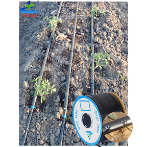 <span class=keywords><strong>Kit</strong></span> <span class=keywords><strong>de</strong></span> Sistema <span class=keywords><strong>de</strong></span> Riego por <span class=keywords><strong>Goteo</strong></span> para 1 Hectárea (100m2) para Maíz, Proveedor a África, Cinta <span class=keywords><strong>de</strong></span> Riego por <span class=keywords><strong>Goteo</strong></span> Plana en Línea - Product Image 2