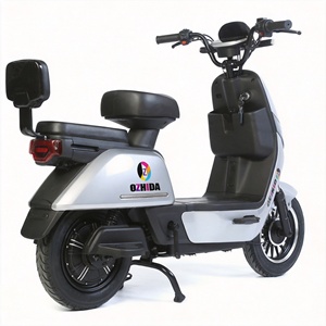 Vélo électrique 14 pouces, moteur 500W, autonomie 50-60 km, batterie au plomb, vélo électrique pour adultes, idéal pour les trajets quotidiens - Product Image 2