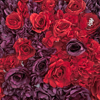 Mur de fleurs artificielles pour décoration intérieure, fond photo, texture rose, ensemble de mariage, motif perforé, pour la remise des diplômes et la fête des mères