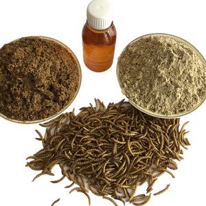 <span class=keywords><strong>Insectes</strong></span> <span class=keywords><strong>comestibles</strong></span> en gros, vers de farine séchés, nourriture pour animaux, supervers - Product Image 4