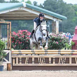 Aochi Factory Horse Horse Jumping portatile in alluminio stand equestre Racing Training Horse Show Jump Wing - Product Image 3