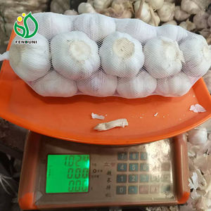 1kg * 10 bolsas de <span class=keywords><strong>ajo</strong></span> de proveedor de <span class=keywords><strong>ajo</strong></span> fresco para el mercado de Ghana - Product Image 2