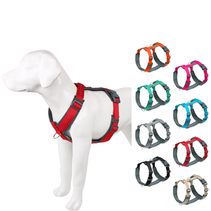 Type Luxury Personalized <b>Pet</b> Vest Chest Harness Dog Walking <b>Leash</b> Explosion-Proof Adjustable Breathable Alloy Material Bowknot - Product Image 1