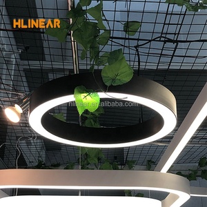 Lampe ronde personnalisée en forme de grande courbe, lumière linéaire, circulaire, ovale, plafond, anneau Led suspendu, cercle led, lustre moderne - Product Image 2