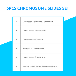 Portaobjetos de microscopio de cromosomas 6 artículos preparados genética portaobjetos médico humano biológico <span class=keywords><strong>Animal</strong></span> Sec rebanada enseñanza educativa - Product Image 5