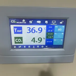 Incubatore automatico di controllo del computer dell'incubatore di Co2 del laboratorio BPN-170RWP 170L