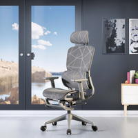 Chaise de bureau ergonomique moderne en maille, hauteur réglable, pivotante, dossier à ailettes, cadre en acier inoxydable, gris, garantie 3 ans
