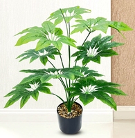 Meilleure vente Grand Pothos vert bonsaï artificiel en plastique carapace de tortue feuille plante verte en pot pour mariage hôtel décoration de la maison