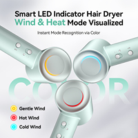 Sèche-cheveux de voyage pour hôtel OEM ODM 1600W à moteur BLDC haute vitesse avec ions négatifs et design léger