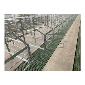 High quality Pig Raising Equipment Pig Gestation Stall Farrowing Crates Sow Stall For Pigs