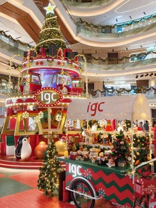Globo de Cristal Navideño Giratorio Interactivo - Exhibición Dinámica de Acero Inoxidable para Exteriores de Edificios - Product Image 6