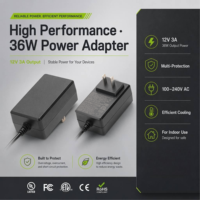 Adaptor Daya Bersertifikasi UL CE 36W 12V 3A AC DC Switching Power Supply Efisiensi Level VI dengan Colokan Dinding untuk Pasar Amerika Serikat dan Eropa