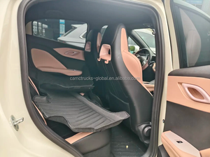 BYD Seagull 2025 30.1kWh AT Auto Elettrica Usata - Product Image 6