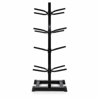 Support mural pour balles de fitness, simple poteau, 4 niveaux, double bras, fixation par boulons, installation facile, idéal pour la salle de sport et la maison