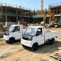 Camionnette électrique économique avec lecteur MP5, conduite à gauche, véhicule de service municipal pour le Qatar