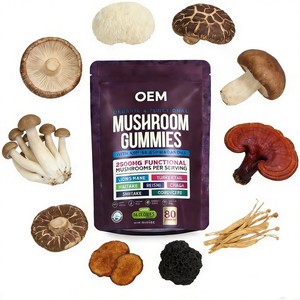 Gummies véganes OEM aux champignons, extrait biologique de Crinière de lion, pour la concentration, la mémoire et l'énergie, personnalisables, marque privée, nootropique naturel pour adultes - Product Image 2