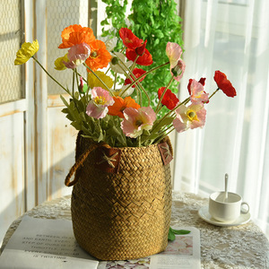 มินิการ์เดนมอริโนกระถางดอกไม้สำหรับพืชสวนสมาร์ทในร่มคลิกและเติบโตสวนอัจฉริยะ10ฝักคริสต์มาสหรูหราพื้นที่ - Product Image 2