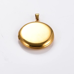 Collier pendentif photo en acier inoxydable poli miroir, médaillon pour photos d'animaux, bijou souvenir, couleur argent/or - Product Image 5