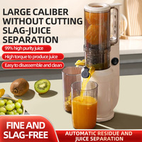 Grote capaciteit slowjuicer, automatische pulp-sap scheiding, koudgeperste fruit- en groente-extractor, draagbaar, makkelijk schoon te maken