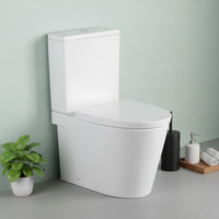 Offre Spéciale – Ensemble WC de Luxe Moderne Européen en Céramique à Double Chasse Gravitaire, Cuvette et Siège de Toilette