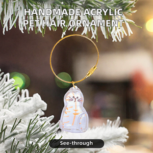 Venta caliente elegante gato transparente acrílico ornamento hecho a mano Almacenamiento de pelo relleno decoración para gatos y perros - Product Image 2