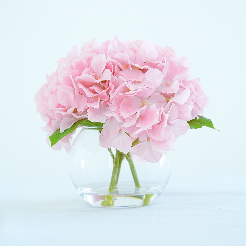 Rosa claro