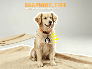 Etiqueta Inteligente NFC Antipérdida para Mascotas, Etiqueta Ligera para Collar de Perro, Recuerdo de la Memoria de tu Amado Animal - Product Image 4