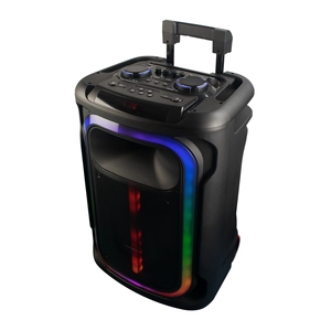 Enceinte Boombox RMS 100W avec basses puissantes, système DJ avec caisson de basses puissant, enceinte sur chariot avec éclairage RVB - Product Image 3