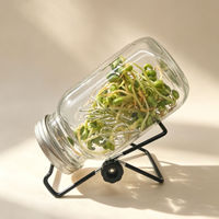Bocal en verre Mason à large ouverture en acier inoxydable avec couvercle germinateur et support en maille pour la germination des graines