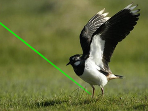 Lumière <span class=keywords><strong>laser</strong></span> verte puissante, lumière <span class=keywords><strong>laser</strong></span> portative longue portée - Product Image 3