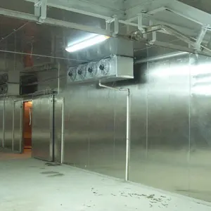 Meat Cold Storage Room Project Cost
