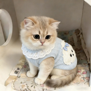 Ropa para Gatos, Nuevos Estilos de Otoño e Invierno, Algodón Cepillado, <span class=keywords><strong>Chaleco</strong></span> para Perro con Hebilla de Tracción, Muñeco de Tela - Product Image 4