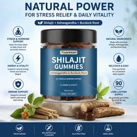 Gummies de Shilajit Ausreson OEM de haute qualité avec Ashwagandha, Racine de Bardane, Supplément Herbal, Mousse de Mer et Crinière de Lion