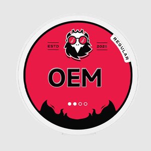 Bolsitas de Snus Portátiles al Por Mayor de Fábrica OEM 2026, Mejor Precio, Bolsitas de Snus Energéticas OEM ODM - Product Image 3